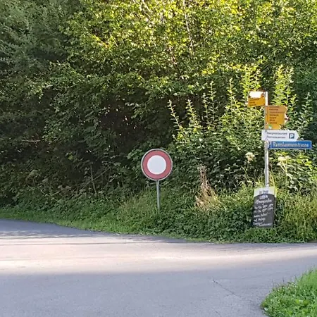 Σαλέ Wettermatte *