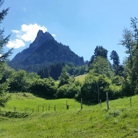 Wettermatte
