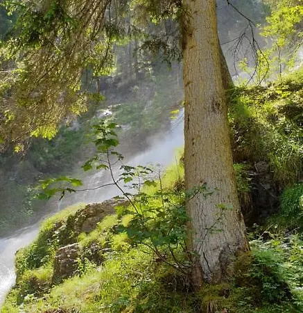 Wettermatte Σαλέ